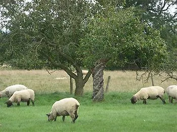 New Buckland Hotel Wombleton